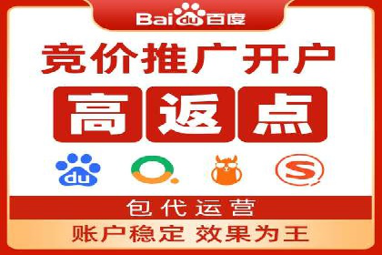 SEM竞价代运营公司经典案例解析